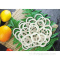Frozen Food Fish Fillet Seafood Squid Ring